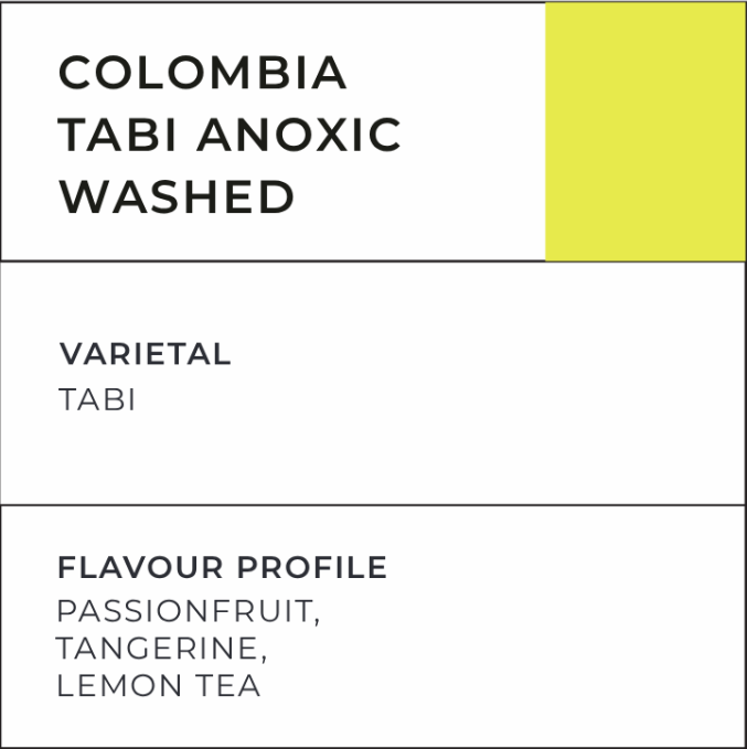 Colombia Tabi Anoxic Washed - Liberty Coffee