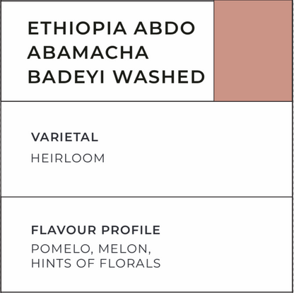 Ethiopia Abdo Abamacha Badeyi Washed - Liberty Coffee
